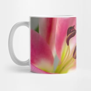 Pink Lily Mug